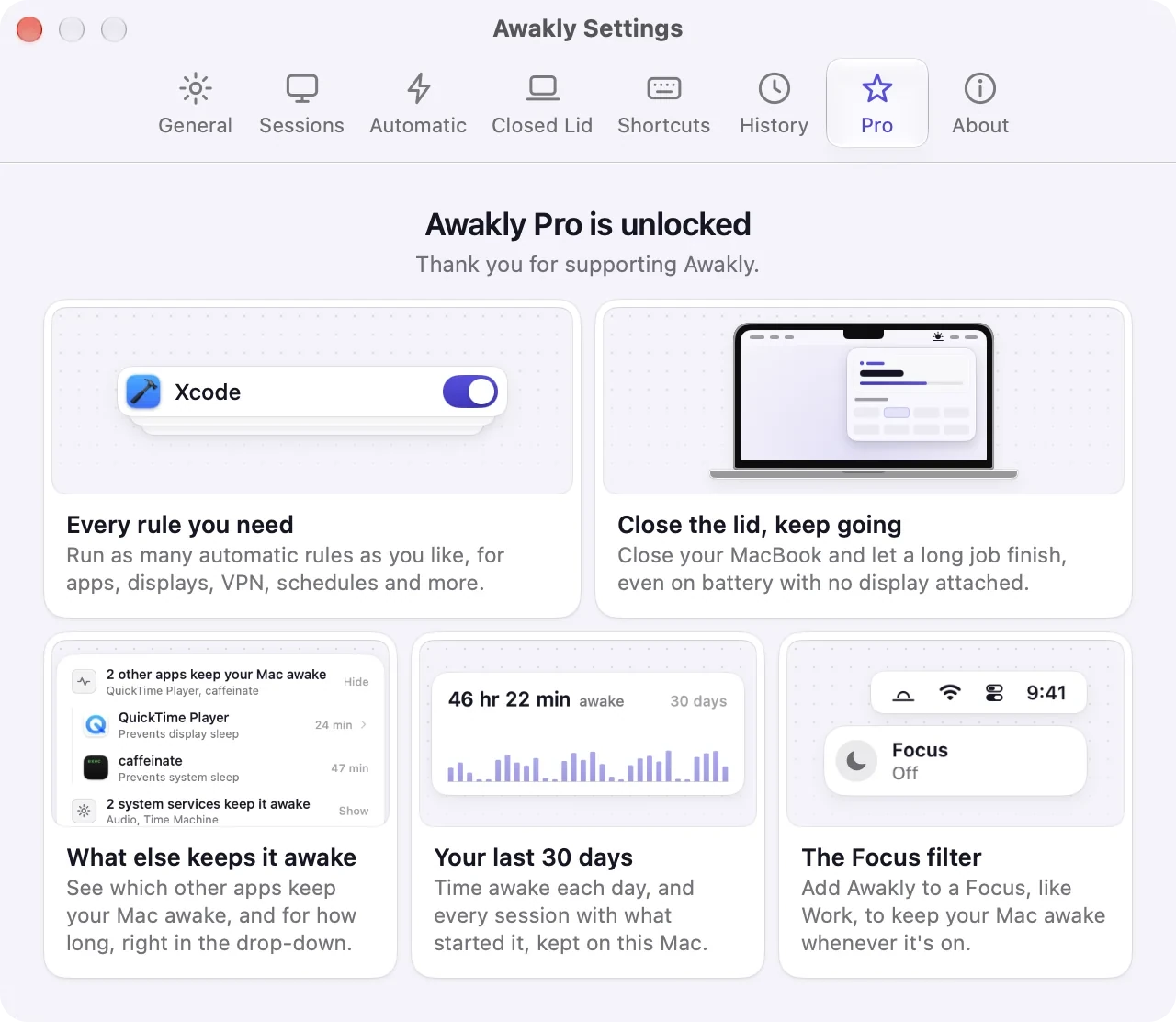 Awakly Settings, Pro tab